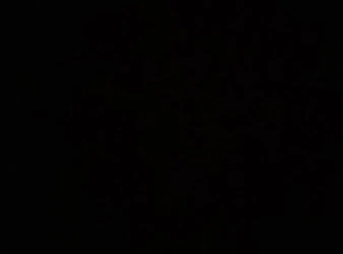 Kristall ゲストハウス エルビンガーオーデ